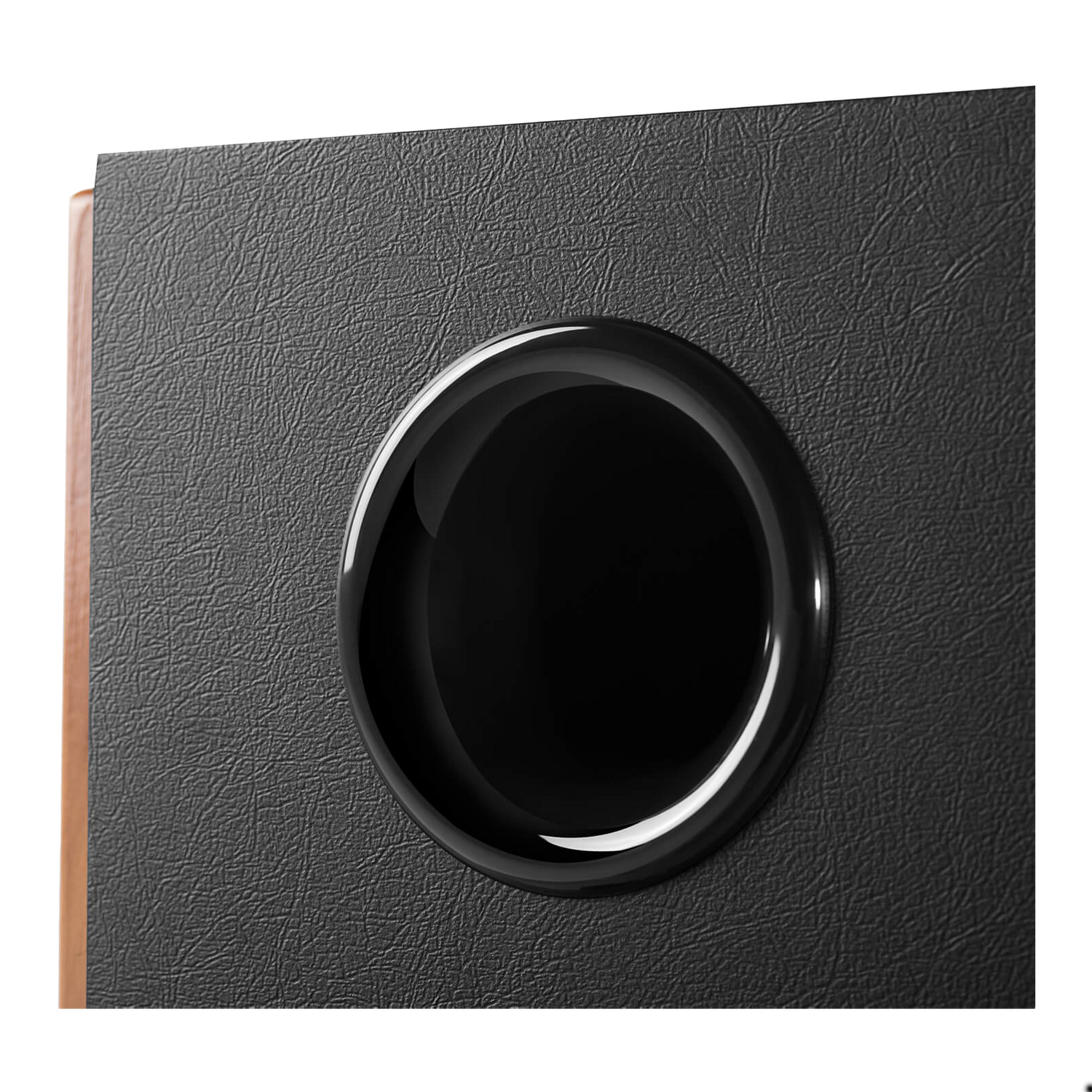 S1000MKII Audiophile Active Bookshelf 2.0 Speaker