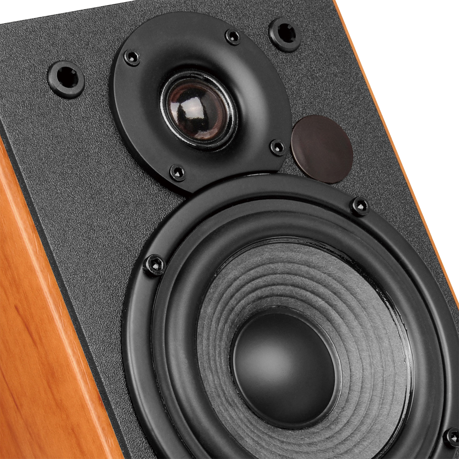 R1380T Stylish Bookshelf Speakers