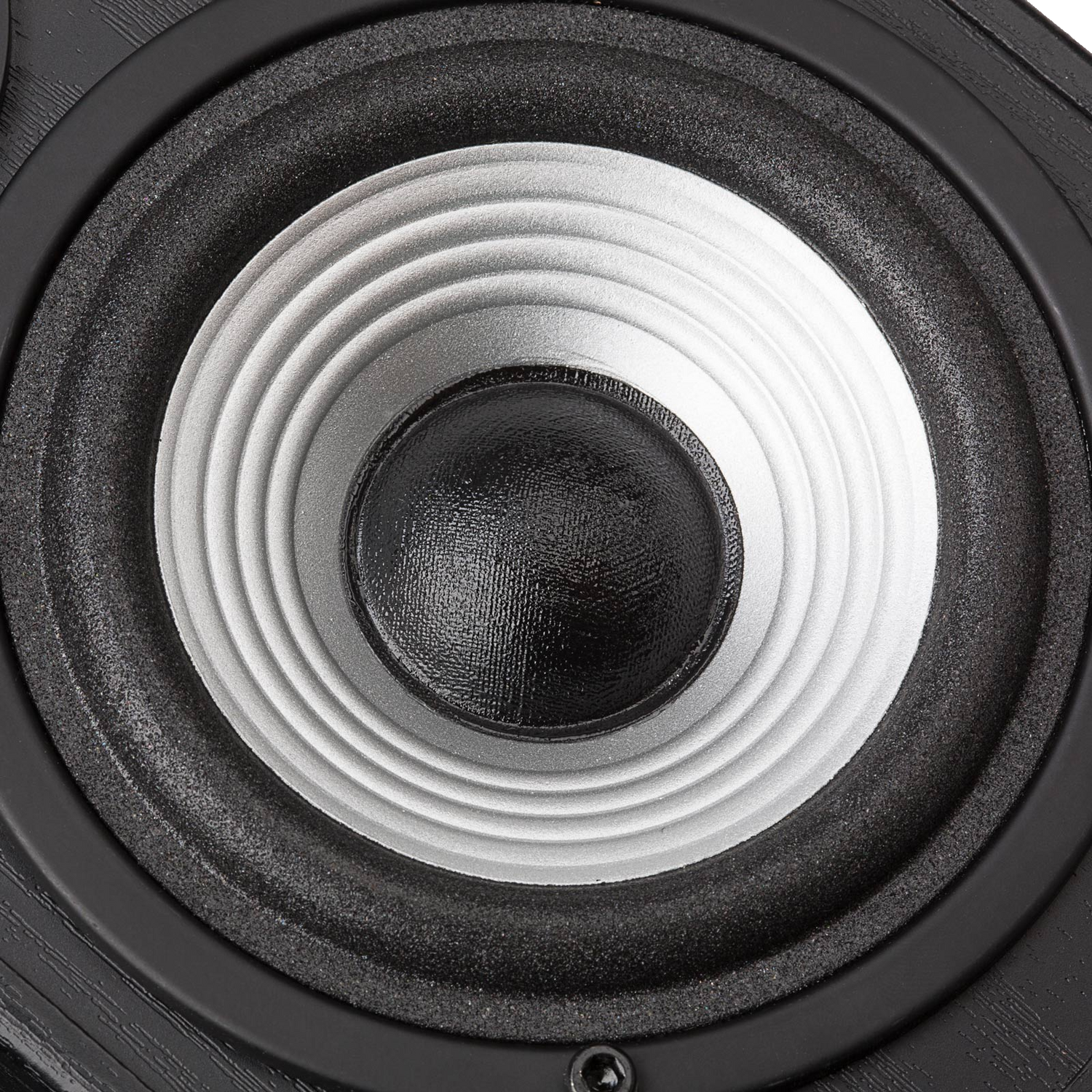 R980T Studio-Quality 2.0 Speaker