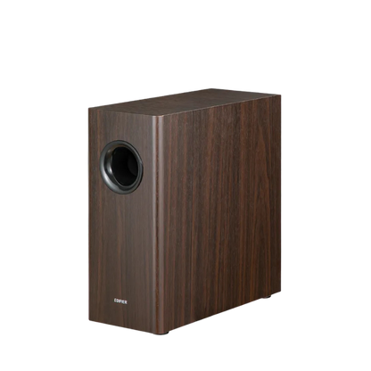 T5s  Powered Subwoofer