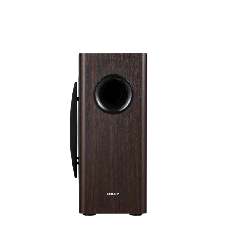 T5s  Powered Subwoofer